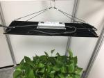 576pcs LEDs 395nm Quantum Board Led Grow Lights