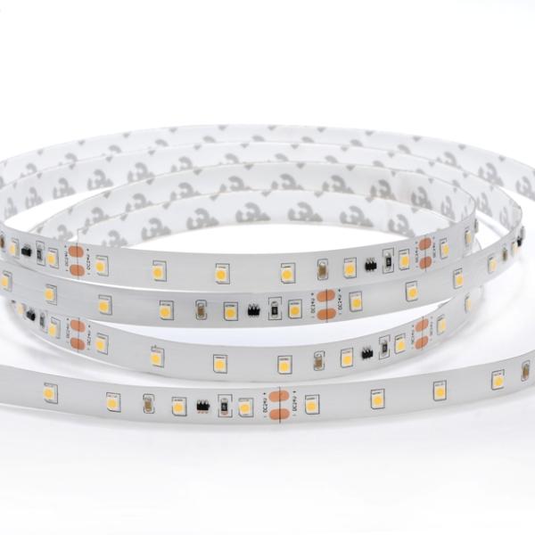 High efficiency Changeable 60 led m CW flexible 2835 led strip light