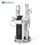 Hot sale cryolipolysis slimming beauty machine/cryolipolysis slim instrument &