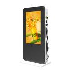 Wide Viewing Angle Outdoor Lcd Advertising Player 55" Wifi / Ethernet Connectivi