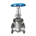 Manual PN16 Hand Wheel Flange Wedge Type Gate Valve Stainless Steel Non-Rising