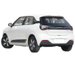 Pure 430 Dongfeng Nano Box EV Electric Car SUV 2024 Energy Vehicle Forward Shift