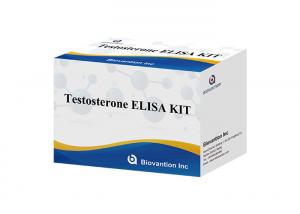 China Testosterone Elisa Test Kit High Specificity For Accurate Diagnosis on sale