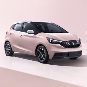Wholesale Comfortable Driving Experience Electric Car EV3 Mileage 320km High speed Electric Car from china suppliers