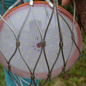 Wholesale Stainless Steel 316 7 X 7 Cable Anti Drop Cover Safe Net Falling Prevention Net from china suppliers