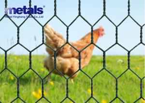 China Chicken Hexagonal Wire Mesh Netting Green 1 Hole OEM on sale