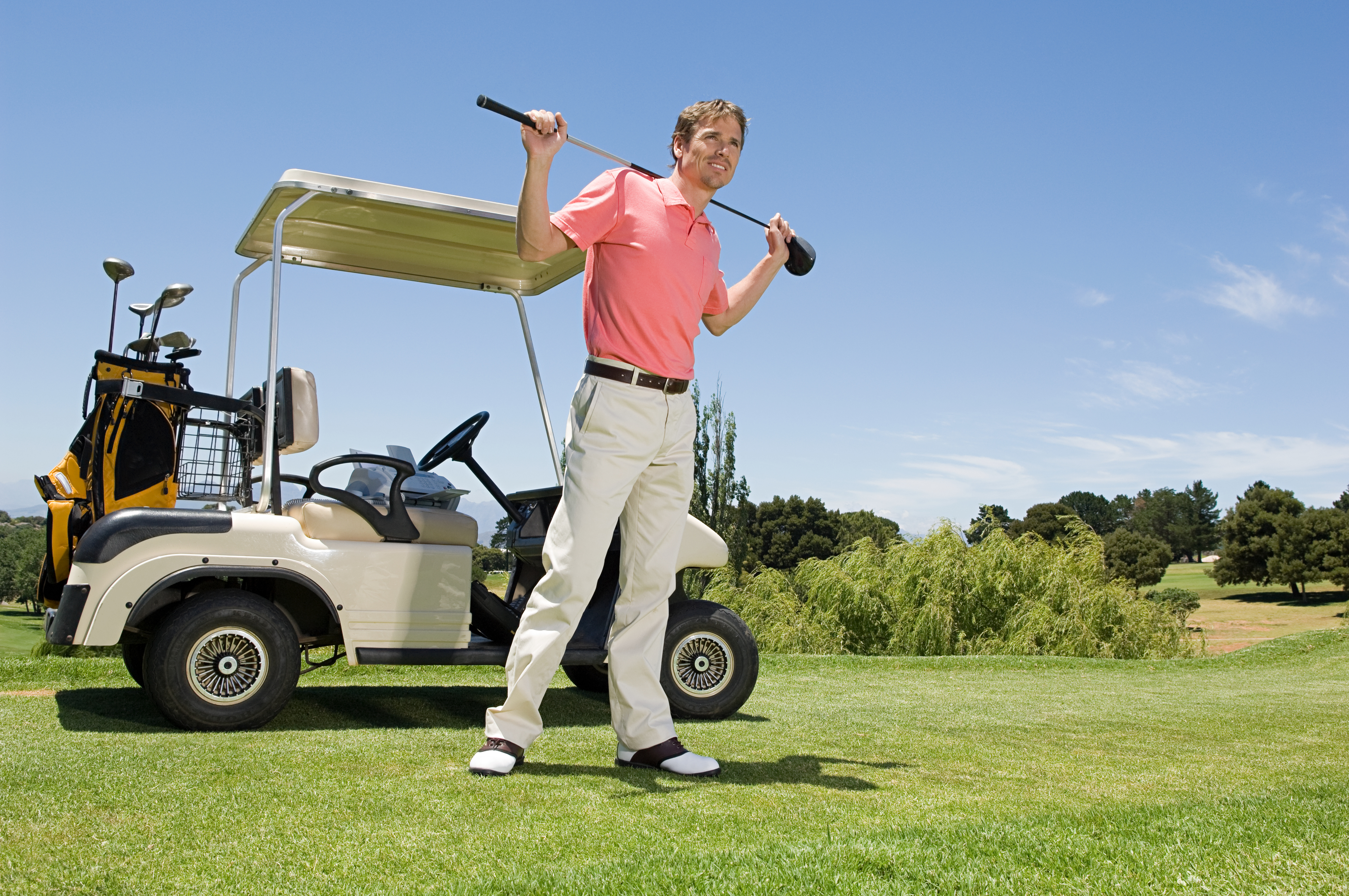 48V 100Ah LiFePO4 battery pack for golf car