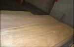 Natural Rotary Cut Birch Veneer Sheet , Yellow rotary cut plywood