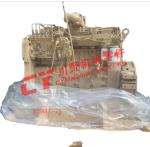11N900010 Complete Engine Assembly 6CT8.3 C8.3 R300LC - 9S R290LC - 7A