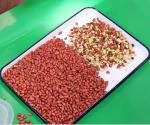 Peanut Groundnut Optical Sorting Machine High Accuracy Stainless Steel Almond