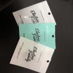 Zip lock style earring bracelet packaging zipper bag small plastic jewelry bag