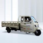 50*100 Chassis Motorized Tricycles for Adults Heavy-Duty 250cc Cargo Tricycles