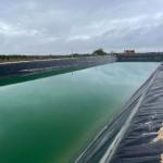 Long Service Life Geomembranes Waterproof HDPE for Fish Farm Pond Liners from
