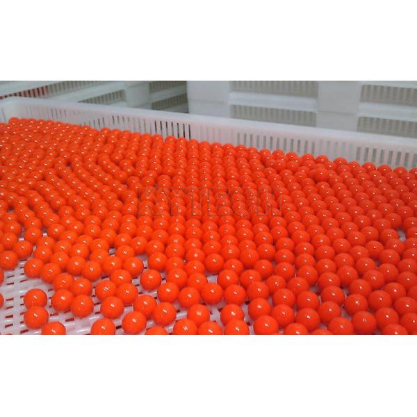 High Efficient SS304 Paintball Making Machine with Automatic Medicine Supply for Large Scale Production