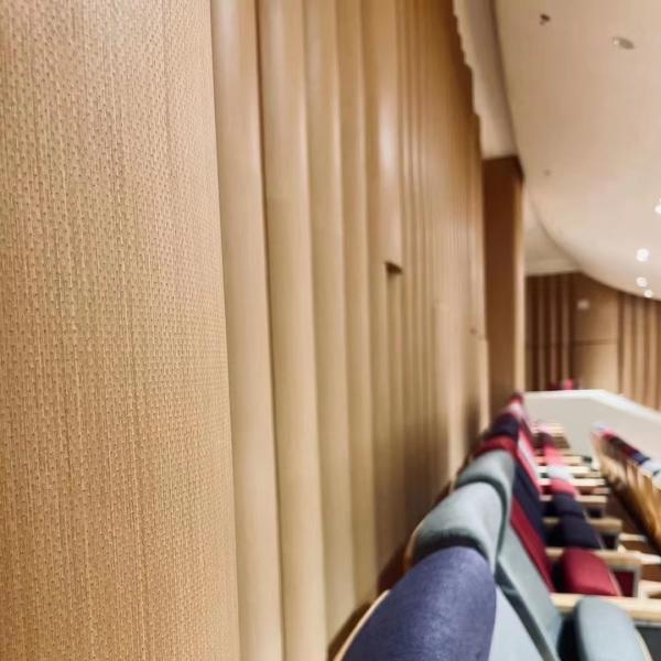 Quality Auditorium Timber Veneer Micro Perforated Panel Absorber Acoustic Wall Panel for sale