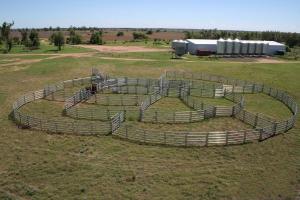 Wholesale Portable Horse Stall Panels 1.5m Gate. Locking Pins. &quot;. Victoria &quot; from china suppliers