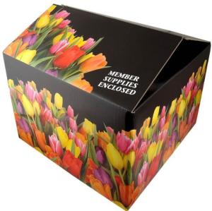 Wholesale fruit carton, fruit case, fruit tray, New Custom Made Luxurious mobile phone Storage Packaging printed paper Box wholesa from china suppliers