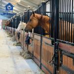 Customized Horse Stall Pine Wood Type For Horse's Comfort Safety