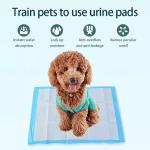 Sample Provided Breathable and Anti Urine Dog Pad Amazon Top Seller for