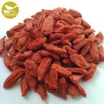 Amorberry China NingXia dried Goji berry for tea or medicine use