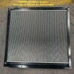 Radiator Assembly 752W06100-0081/1 HOWO Truck Parts Engine Radiator Coolant