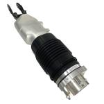 971616038G Air Suspension Parts Air Suspension Strut