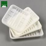 OEM Service 100% PLA Biodegradable Disposable Plastic Food Plates Round Dish