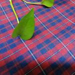 100% Polyester Yarn Dyed Check Fabric For Uniform 300Dx300D Width 57/58"