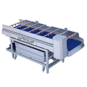 Wholesale Vegetable Carrot Potato Ginger Brush Roller Washer Machine for Washing and Cleaning from china suppliers