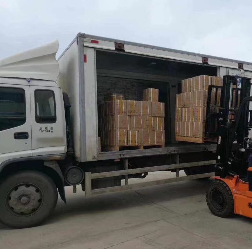 PC for Replacing/Repairing HOWO Shacman X3000 Truck Computer Bcm Dz97189585116 Perfect
