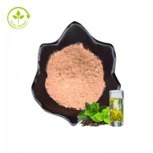 Wholesale ISO Free Samples Instant Green Tea Powder 20%Polyphenols Health Food Water Soluble Organic Green Tea Extract from china suppliers