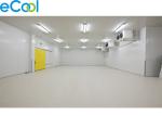 Mini Restaurant Commercial Cold Storage , PU Panel Walk In Refrigerator