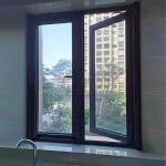 Roller Screen Window