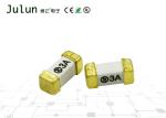 6.1*2.5MM 250V 600MA Miniature Electronic Circuit Board Fuses
