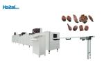250kg/H Automatic Chocolate Making Machine Depositing Sugar Making Machine
