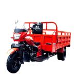 DAYANG Lifan 250CC 300CC Cargo Motorized Tricycle with 5.0 inch Wheels and