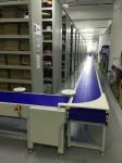 Stainless Flexible Conveyor with Plastic Modular Belt