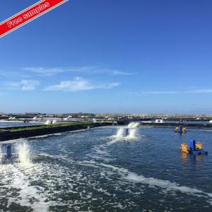 Wholesale Customized Outdoor PVC Geomembrane Fish Farming Tank Pond Tarpaulin Shrimp Pond Liner from china suppliers