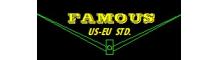 China FAMOUS Steel Engineering Company logo
