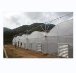 150/200 Micro Covering PE Multi Span Film Greenhouse For Tomato Farming In
