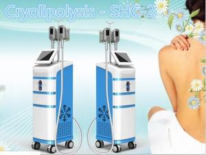 Wholesale cryolipolysis fat freezing weight lose body shaping machine from china suppliers