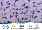Nitrifying Bacteria Agent Powder Used For Sewage Treatment