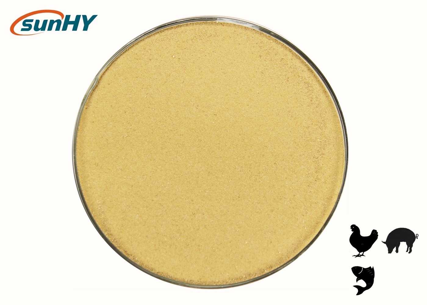 Feed Grade ISO9001 Probiotics For Animal Dosage 2kg/MT
