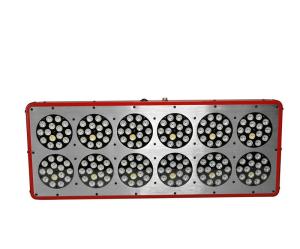 Wholesale CIDLY 430W 12 led horticulture lite full spectrum indoor gardening grow led lamp from china suppliers