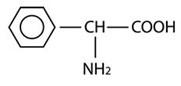 China D-Dihydro Phenylglycine  Base (DHPG BASE) CAS No.26774-88-9 on sale