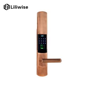 Wholesale Zinc Alloy Digital Keyless Entry Door Locks , SJ6061 Electronic Security Locks from china suppliers