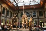 Attractive Complete Dinosaur Fossil Model , Fiberglass Dinosaur Fossil Replicas