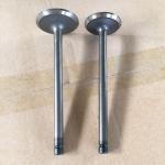 Automobile Engine Valve B13 GA16 Intake Exhaust Valve For Nissan 13201-53Y00
