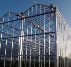 Wholesale Customized Venlo Type Greenhouse Multispan Tunnels Hot Dip Galvanized Steel from china suppliers