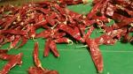 Dehydrate Sweet Paprika Pepper Non Irradiated Dried Red Chili Pods 140 Atsa